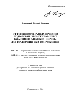 Эффективность разных приемов подготовки выранжированных баранчиков алтайской породы для реализации их в год рождения - тема автореферата по сельскому хозяйству, скачайте бесплатно автореферат диссертации