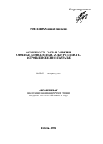 Особенности роста и развития овощных корнеплодных культур семейства астровые в Северном Зауралье - тема автореферата по сельскому хозяйству, скачайте бесплатно автореферат диссертации