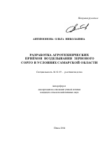 Разработка агротехнических приёмов возделывания зернового сорго в условиях Самарской области - тема автореферата по сельскому хозяйству, скачайте бесплатно автореферат диссертации