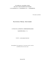 Структура аппарата инфицирования бактериофага T4 - тема автореферата по биологии, скачайте бесплатно автореферат диссертации