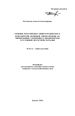 Реакция ризосферных микроорганизмов и возбудителей корневой гнили ячменя на минеральные удобрения и биопрепараты в условиях лесостепи Зауралья - тема автореферата по сельскому хозяйству, скачайте бесплатно автореферат диссертации