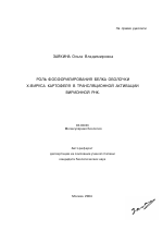 Роль фосфорилирования белка оболочки X-вируса картофеля в трансляционной активации вирионной РНК - тема автореферата по биологии, скачайте бесплатно автореферат диссертации