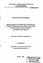 Идентификация и характеристика отечественных штаммов термофильных молочнокислых бактерий, использующихся при изготовлении кисломолочных продуктов - тема автореферата по биологии, скачайте бесплатно автореферат диссертации