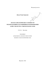 Эколого-биологические особенности медопродуктивности робиниевых и примыкающих к ним экосистем Ставропольского края - тема автореферата по биологии, скачайте бесплатно автореферат диссертации