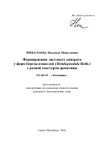 Формирование листового аппарата у форм березы повислой (Betula pendula Roth.) с разной текстурой древесины - тема автореферата по биологии, скачайте бесплатно автореферат диссертации