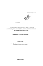 Экологическое нормирование нагрузки фунгицидов на агроценозы лесных питомников - тема автореферата по биологии, скачайте бесплатно автореферат диссертации