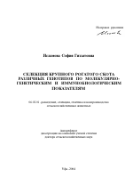 Селекция крупного рогатого скота различных генотипов по молекулярно-генетическим и иммунобиологическим показателям - тема автореферата по сельскому хозяйству, скачайте бесплатно автореферат диссертации