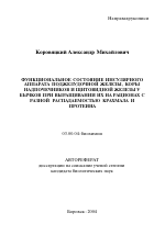 Функциональное состояние инсулярного аппарата поджелудочной железы, коры надпочечников и щитовидной железы у бычков при выращивании их на рационах с разной распадаемостью крахмала и протеина - тема автореферата по биологии, скачайте бесплатно автореферат диссертации