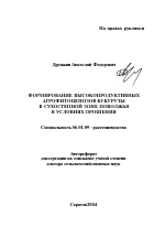 Формирование высокопродуктивных агрофитоценозов кукурузы в сухостепной зоне Поволжья в условиях орошения - тема автореферата по сельскому хозяйству, скачайте бесплатно автореферат диссертации