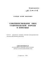 Совершенствование овец ставропольской породы в Поволжье - тема автореферата по сельскому хозяйству, скачайте бесплатно автореферат диссертации