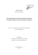 Выращивание и кормление цыплят-бройлеров с разным уровнем сырого протеина в рационах - тема автореферата по сельскому хозяйству, скачайте бесплатно автореферат диссертации