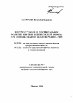 Внутриутробное и постнатальное развитие жеребят буденновской породы при использовании целловиридина Г20Х - тема автореферата по сельскому хозяйству, скачайте бесплатно автореферат диссертации