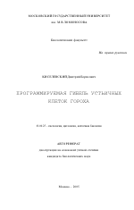 Программируемая гибель устьичных клеток гороха - тема автореферата по биологии, скачайте бесплатно автореферат диссертации