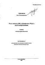 Роль киназы р38α и фосфатазы Wip1 в опухолеобразовании - тема автореферата по биологии, скачайте бесплатно автореферат диссертации