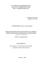 Филогенетическая гетерогенность серных спирилл и физиология микроаэрофильных представителей - тема автореферата по биологии, скачайте бесплатно автореферат диссертации