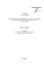 Морфологическая изменчивость берез в условиях техногенного загрязнения на Кольском полуострове - тема автореферата по биологии, скачайте бесплатно автореферат диссертации
