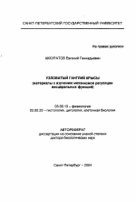 Узловатый ганглий крысы - тема автореферата по биологии, скачайте бесплатно автореферат диссертации