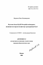 Изучение белка E(y)2P Drosophila melanogaster, являющегося паралогом фактора транскрипции E(y)2 - тема автореферата по биологии, скачайте бесплатно автореферат диссертации