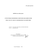 Структурные изменения в эпителии канальцев почки крыс после слабого радиационного воздействия - тема автореферата по биологии, скачайте бесплатно автореферат диссертации