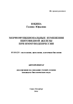 Морфофункциональные изменения щитовидной железы при иммунодепрессии - тема автореферата по биологии, скачайте бесплатно автореферат диссертации