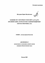 Влияние регуляторных генов ВИЧ-1 tat и nef на пролиферацию, морфологию и дифференцировку клеток грызунов in vitro - тема автореферата по биологии, скачайте бесплатно автореферат диссертации