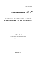 Биохимические и функциональные особенности модифицированных белков семян рапса и сурепицы - тема автореферата по биологии, скачайте бесплатно автореферат диссертации