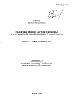 Селекция яровой мягкой пшеницы в засушливой степи Северного Казахстана - тема автореферата по сельскому хозяйству, скачайте бесплатно автореферат диссертации