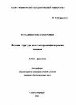 Фазовая структура волн электроэнцефалограммы человека - тема автореферата по биологии, скачайте бесплатно автореферат диссертации