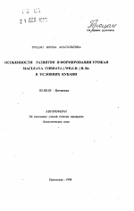 Особенности развития и формирования урожая Macleaya cordata (Willd. )R. Br. в условиях Кубани - тема автореферата по биологии, скачайте бесплатно автореферат диссертации