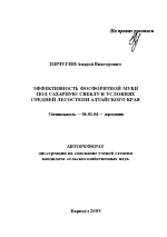 Эффективность фосфоритной муки под сахарную свеклу в условиях Средней лесостепи Алтайского края - тема автореферата по сельскому хозяйству, скачайте бесплатно автореферат диссертации