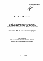 Хозяйственно-биологическая оценка позднеспелых сортов и элитных форм облепихи крушиновой алтайской селекции - тема автореферата по сельскому хозяйству, скачайте бесплатно автореферат диссертации