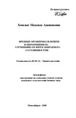 Вредные организмы облепихи и мероприятия по улучшению ее фитосанитарного состояния в Туве - тема автореферата по сельскому хозяйству, скачайте бесплатно автореферат диссертации