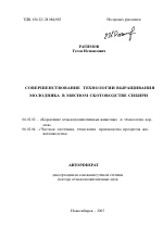 Совершенствование технологии выращивания молодняка в мясном скотоводстве Сибири - тема автореферата по сельскому хозяйству, скачайте бесплатно автореферат диссертации