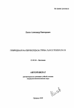 Гибридная Mn-пероксидаза гриба Panus Tigrinus 8/18 - тема автореферата по биологии, скачайте бесплатно автореферат диссертации