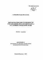 Биоэкологические особенности туи западной (Thuja Occidentalis L.) в условиях городской среды - тема автореферата по биологии, скачайте бесплатно автореферат диссертации