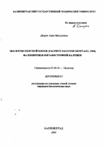 Экология морской блохи (Talitrus saltator montagu, 1808) на побережье юго-восточной Балтики - тема автореферата по биологии, скачайте бесплатно автореферат диссертации