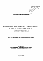 Режим капельного орошения ранней капусты на светло-каштановых почвах Нижнего Поволжья - тема автореферата по сельскому хозяйству, скачайте бесплатно автореферат диссертации