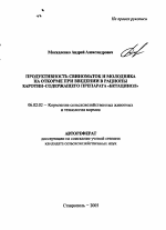 Продуктивность свиноматок и молодняка на откорме при введении в рационы каротин-содержащего препарата "бетацинол" - тема автореферата по сельскому хозяйству, скачайте бесплатно автореферат диссертации