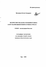 Экспрессия гена белка холодового шока капусты при низкотемпературном стрессе - тема автореферата по биологии, скачайте бесплатно автореферат диссертации