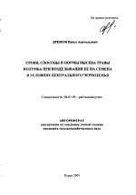 Сроки, способы и нормы высева травы Колумба при возделывании ее на семена в условиях Центрального Черноземья - тема автореферата по сельскому хозяйству, скачайте бесплатно автореферат диссертации