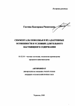 Симменталы Поволжья и их адаптивные особенности в условиях длительного пастбищного содержания - тема автореферата по сельскому хозяйству, скачайте бесплатно автореферат диссертации