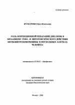 Роль коррекционной репарации ДНК (MMR) в механизме гено- и цитотоксического действия метилнитрозомочевины в опухолевых клетках человека - тема автореферата по биологии, скачайте бесплатно автореферат диссертации