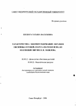 Характеристика эндофитсодержащих образцов овсяницы луговой (Festuca pratensis huds.) из коллекции ВИР им. Н.И. Вавилова - тема автореферата по биологии, скачайте бесплатно автореферат диссертации