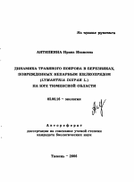 Динамика травяного покрова в березняках, поврежденных непарным шелкопрядом (Lymantria dispar L.) на юге Тюменской области - тема автореферата по биологии, скачайте бесплатно автореферат диссертации