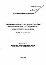 Эффективность мелкой обработки почвы при возделывании сахарной свеклы в Центральном Черноземье - тема автореферата по сельскому хозяйству, скачайте бесплатно автореферат диссертации