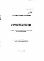 Овцы алтайской породы и их совершенствование - тема автореферата по сельскому хозяйству, скачайте бесплатно автореферат диссертации