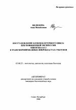 Восстановление блоков клеточного цикла при повышенной экспрессии онкогена bcl-2 в трансформированных фибробластах грызунов - тема автореферата по биологии, скачайте бесплатно автореферат диссертации