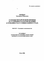 Селекция мягкой яровой пшеницы на устойчивость к бурой ржавчине и урожайность в условиях Южного Урала - тема автореферата по сельскому хозяйству, скачайте бесплатно автореферат диссертации