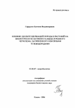 Влияние цеолитсодержащей породы и растений на биологическую активность выщелоченного чернозема, загрязненного нефтяными углеводородами - тема автореферата по биологии, скачайте бесплатно автореферат диссертации