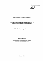 Взаимодействие рибосомного белка L1 с рибосомной и матричной РНК - тема автореферата по биологии, скачайте бесплатно автореферат диссертации